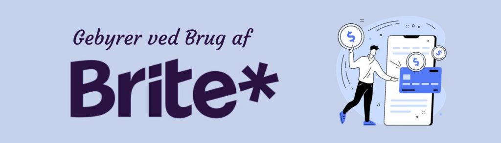 Gebyrer ved Brug af Brite