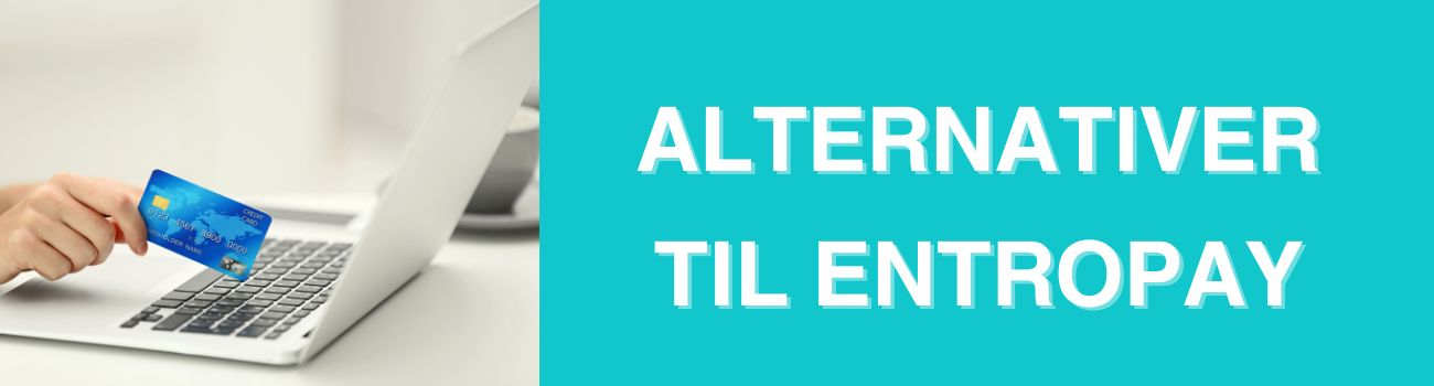 EntroPay alternativer Alternativer til EntroPay